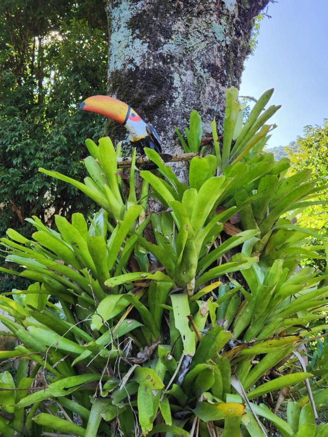 Hospedaria E Camping Quintal Do Mundo Lumiar Bagian luar foto